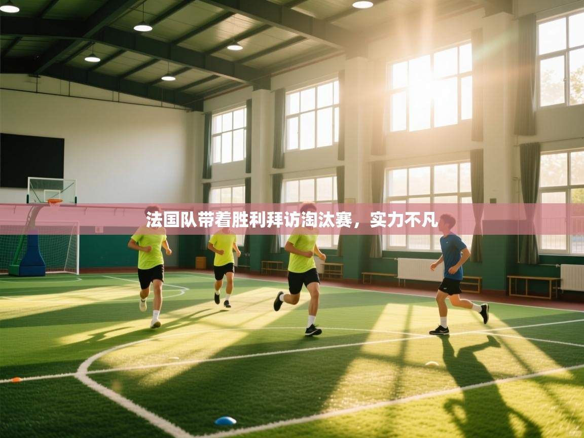 法国队带着胜利拜访淘汰赛，实力不凡  第1张