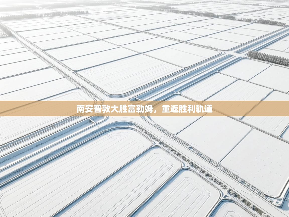 南安普敦大胜富勒姆,重返胜利轨道 第2张