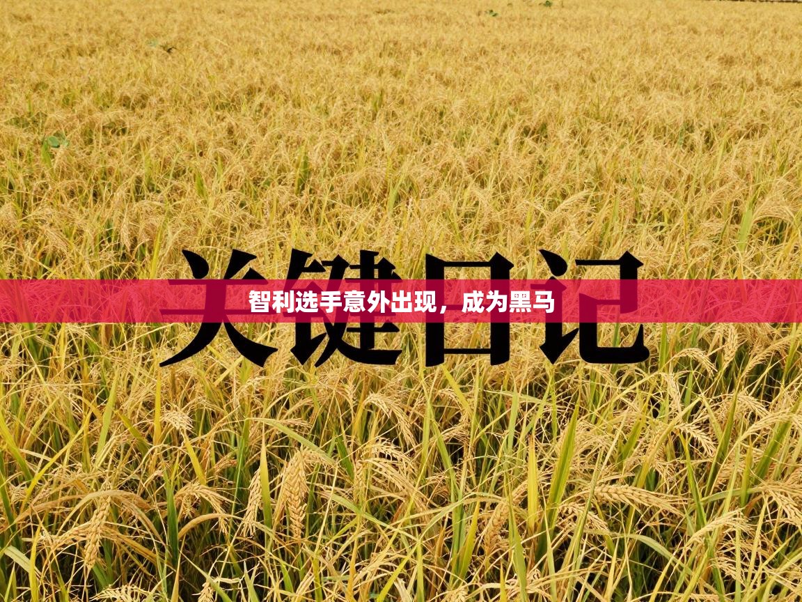 智利选手意外出现，成为黑马  第2张